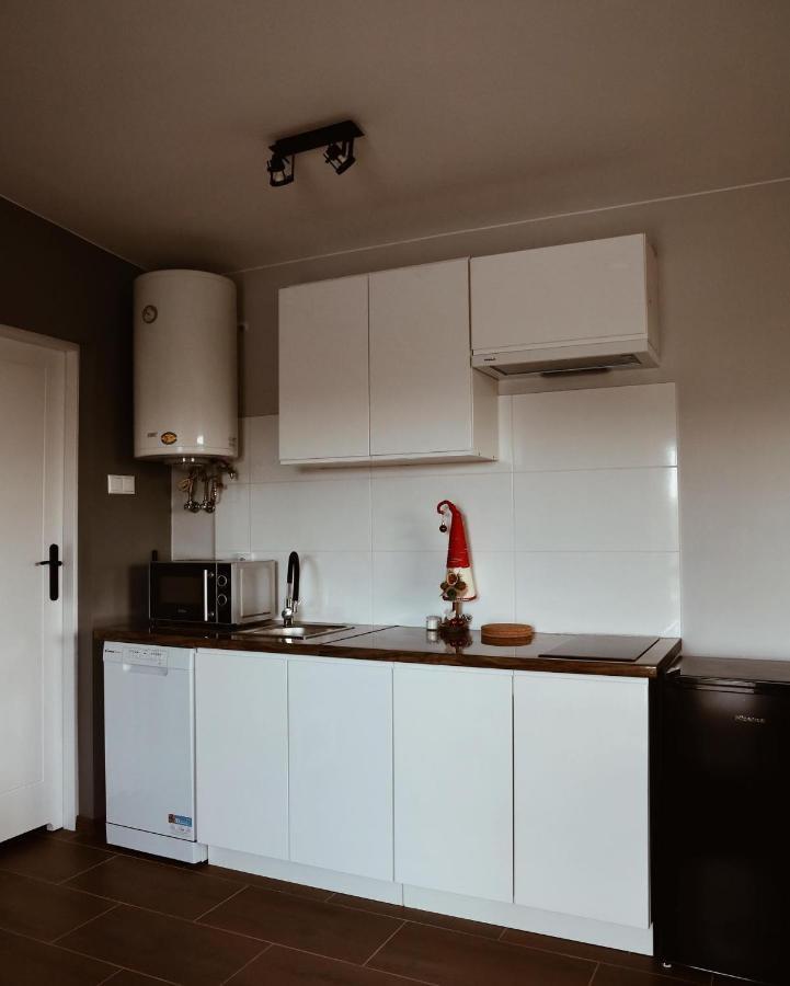 Apartamenty Wilga Z Calorocznym Jacuzzi I Letnim Basenem Exterior photo